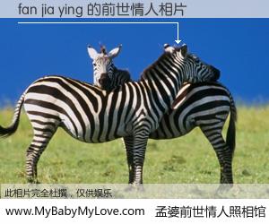 #孟婆前世情人照相馆# 【fan jia ying 的前世情人】前生，我们相亲相爱，相约下辈子还要在一起，你的誓言可别忘记。然而轮回路上的一碗孟婆汤，却将一切归零。茫茫人悔，谁是我的前世情人？fan jia ying 的前世情人，有图有真相：