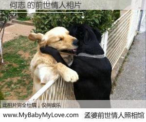 #孟婆前世情人照相馆# 【何志 的前世情人】前生，我们相亲相爱，相约下辈子还要在一起，你的誓言可别忘记。然而轮回路上的一碗孟婆汤，却将一切归零。茫茫人悔，谁是我的前世情人？何志 的前世情人，有图有真相：