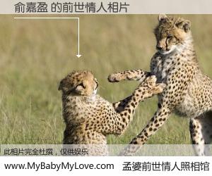 #孟婆前世情人照相馆# 【俞嘉盈 的前世情人】前生，我们相亲相爱，相约下辈子还要在一起，你的誓言可别忘记。然而轮回路上的一碗孟婆汤，却将一切归零。茫茫人悔，谁是我的前世情人？俞嘉盈 的前世情人，有图有真相：