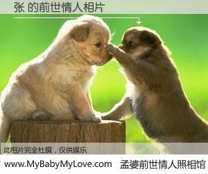 #孟婆前世情人照相馆# 【张 的前世情人】前生，我们相亲相爱，相约下辈子还要在一起，你的誓言可别忘记。然而轮回路上的一碗孟婆汤，却将一切归零。茫茫人悔，谁是我的前世情人？张 的前世情人，有图有真相：