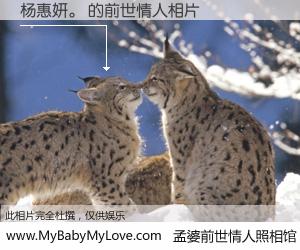 #孟婆前世情人照相馆# 【杨惠妍。 的前世情人】前生，我们相亲相爱，相约下辈子还要在一起，你的誓言可别忘记。然而轮回路上的一碗孟婆汤，却将一切归零。茫茫人悔，谁是我的前世情人？杨惠妍。 的前世情人，有图有真相：