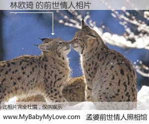 #孟婆前世情人照相馆# 【林欧琦 的前世情人】前生，我们相亲相爱，相约下辈子还要在一起，你的誓言可别忘记。然而轮回路上的一碗孟婆汤，却将一切归零。茫茫人悔，谁是我的前世情人？林欧琦 的前世情人，有图有真相：