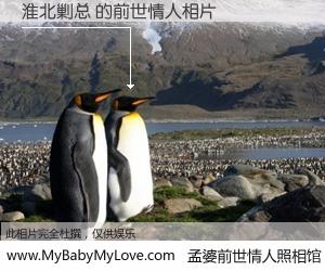 #孟婆前世情人照相馆# 【淮北剿总 的前世情人】前生，我们相亲相爱，相约下辈子还要在一起，你的誓言可别忘记。然而轮回路上的一碗孟婆汤，却将一切归零。茫茫人悔，谁是我的前世情人？淮北剿总 的前世情人，有图有真相：