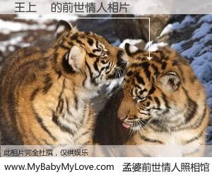 #孟婆前世情人照相馆# 【王上鈺 的前世情人】前生，我们相亲相爱，相约下辈子还要在一起，你的誓言可别忘记。然而轮回路上的一碗孟婆汤，却将一切归零。茫茫人悔，谁是我的前世情人？王上鈺 的前世情人，有图有真相：