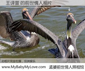 #孟婆前世情人照相馆# 【王译萱 的前世情人】前生，我们相亲相爱，相约下辈子还要在一起，你的誓言可别忘记。然而轮回路上的一碗孟婆汤，却将一切归零。茫茫人悔，谁是我的前世情人？王译萱 的前世情人，有图有真相：