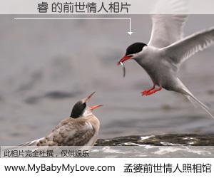 #孟婆前世情人照相馆# 【許凱睿 的前世情人】前生，我们相亲相爱，相约下辈子还要在一起，你的誓言可别忘记。然而轮回路上的一碗孟婆汤，却将一切归零。茫茫人悔，谁是我的前世情人？許凱睿 的前世情人，有图有真相：