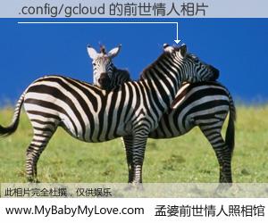 #孟婆前世情人照相馆# 【.config/gcloud 的前世情人】前生，我们相亲相爱，相约下辈子还要在一起，你的誓言可别忘记。然而轮回路上的一碗孟婆汤，却将一切归零。茫茫人悔，谁是我的前世情人？.config/gcloud 的前世情人，有图有真相：