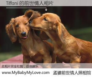 #孟婆前世情人照相馆# 【Tiffani 的前世情人】前生，我们相亲相爱，相约下辈子还要在一起，你的誓言可别忘记。然而轮回路上的一碗孟婆汤，却将一切归零。茫茫人悔，谁是我的前世情人？Tiffani 的前世情人，有图有真相：