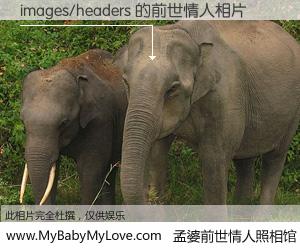 #孟婆前世情人照相馆# 【images/headers 的前世情人】前生，我们相亲相爱，相约下辈子还要在一起，你的誓言可别忘记。然而轮回路上的一碗孟婆汤，却将一切归零。茫茫人悔，谁是我的前世情人？images/headers 的前世情人，有图有真相：