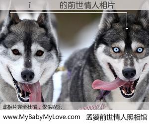 #孟婆前世情人照相馆# 【����� 的前世情人】前生，我们相亲相爱，相约下辈子还要在一起，你的誓言可别忘记。然而轮回路上的一碗孟婆汤，却将一切归零。茫茫人悔，谁是我的前世情人？����� 的前世情人，有图有真相：