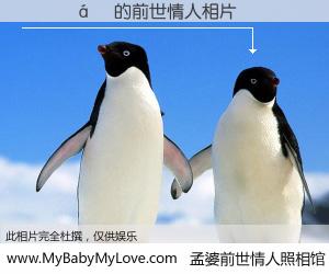 #孟婆前世情人照相馆# 【��Խ� 的前世情人】前生，我们相亲相爱，相约下辈子还要在一起，你的誓言可别忘记。然而轮回路上的一碗孟婆汤，却将一切归零。茫茫人悔，谁是我的前世情人？��Խ� 的前世情人，有图有真相：