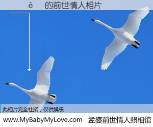 #孟婆前世情人照相馆# 【��� 的前世情人】前生，我们相亲相爱，相约下辈子还要在一起，你的誓言可别忘记。然而轮回路上的一碗孟婆汤，却将一切归零。茫茫人悔，谁是我的前世情人？��� 的前世情人，有图有真相：