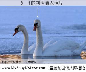 #孟婆前世情人照相馆# 【����t 的前世情人】前生，我们相亲相爱，相约下辈子还要在一起，你的誓言可别忘记。然而轮回路上的一碗孟婆汤，却将一切归零。茫茫人悔，谁是我的前世情人？����t 的前世情人，有图有真相：