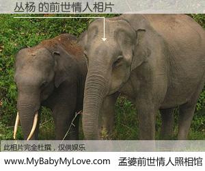 #孟婆前世情人照相馆# 【丛杨 的前世情人】前生，我们相亲相爱，相约下辈子还要在一起，你的誓言可别忘记。然而轮回路上的一碗孟婆汤，却将一切归零。茫茫人悔，谁是我的前世情人？丛杨 的前世情人，有图有真相：
