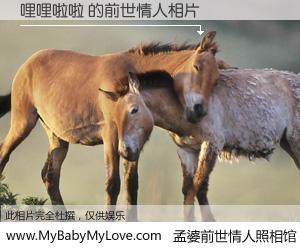 #孟婆前世情人照相馆# 【哩哩啦啦 的前世情人】前生，我们相亲相爱，相约下辈子还要在一起，你的誓言可别忘记。然而轮回路上的一碗孟婆汤，却将一切归零。茫茫人悔，谁是我的前世情人？哩哩啦啦 的前世情人，有图有真相：