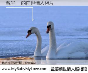 #孟婆前世情人照相馆# 【戴呈訢 的前世情人】前生，我们相亲相爱，相约下辈子还要在一起，你的誓言可别忘记。然而轮回路上的一碗孟婆汤，却将一切归零。茫茫人悔，谁是我的前世情人？戴呈訢 的前世情人，有图有真相：