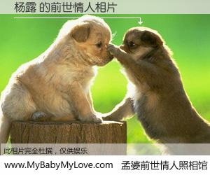 #孟婆前世情人照相馆# 【杨露 的前世情人】前生，我们相亲相爱，相约下辈子还要在一起，你的誓言可别忘记。然而轮回路上的一碗孟婆汤，却将一切归零。茫茫人悔，谁是我的前世情人？杨露 的前世情人，有图有真相：