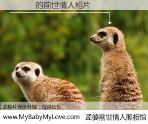 #孟婆前世情人照相馆# 【黃義凱 的前世情人】前生，我们相亲相爱，相约下辈子还要在一起，你的誓言可别忘记。然而轮回路上的一碗孟婆汤，却将一切归零。茫茫人悔，谁是我的前世情人？黃義凱 的前世情人，有图有真相：