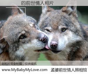 #孟婆前世情人照相馆# 【鄭勝贏 的前世情人】前生，我们相亲相爱，相约下辈子还要在一起，你的誓言可别忘记。然而轮回路上的一碗孟婆汤，却将一切归零。茫茫人悔，谁是我的前世情人？鄭勝贏 的前世情人，有图有真相：