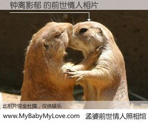 #孟婆前世情人照相馆# 【钟离影郁 的前世情人】前生，我们相亲相爱，相约下辈子还要在一起，你的誓言可别忘记。然而轮回路上的一碗孟婆汤，却将一切归零。茫茫人悔，谁是我的前世情人？钟离影郁 的前世情人，有图有真相：