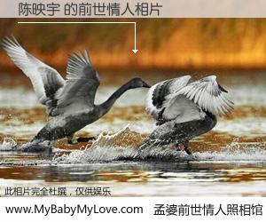 #孟婆前世情人照相馆# 【陈映宇 的前世情人】前生，我们相亲相爱，相约下辈子还要在一起，你的誓言可别忘记。然而轮回路上的一碗孟婆汤，却将一切归零。茫茫人悔，谁是我的前世情人？陈映宇 的前世情人，有图有真相：