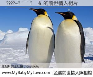 #孟婆前世情人照相馆# 【????-?��?�� 的前世情人】前生，我们相亲相爱，相约下辈子还要在一起，你的誓言可别忘记。然而轮回路上的一碗孟婆汤，却将一切归零。茫茫人悔，谁是我的前世情人？????-?��?�� 的前世情人，有图有真相：