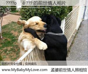 #孟婆前世情人照相馆# 【????o��??? 的前世情人】前生，我们相亲相爱，相约下辈子还要在一起，你的誓言可别忘记。然而轮回路上的一碗孟婆汤，却将一切归零。茫茫人悔，谁是我的前世情人？????o��??? 的前世情人，有图有真相：