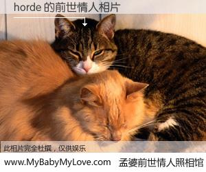 #孟婆前世情人照相馆# 【horde 的前世情人】前生，我们相亲相爱，相约下辈子还要在一起，你的誓言可别忘记。然而轮回路上的一碗孟婆汤，却将一切归零。茫茫人悔，谁是我的前世情人？horde 的前世情人，有图有真相：