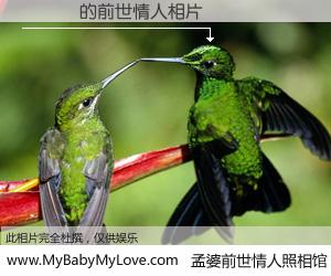 #孟婆前世情人照相馆# 【�ĺ� 的前世情人】前生，我们相亲相爱，相约下辈子还要在一起，你的誓言可别忘记。然而轮回路上的一碗孟婆汤，却将一切归零。茫茫人悔，谁是我的前世情人？�ĺ� 的前世情人，有图有真相：