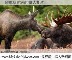 #孟婆前世情人照相馆# 【余蕙慈 的前世情人】前生，我们相亲相爱，相约下辈子还要在一起，你的誓言可别忘记。然而轮回路上的一碗孟婆汤，却将一切归零。茫茫人悔，谁是我的前世情人？余蕙慈 的前世情人，有图有真相：