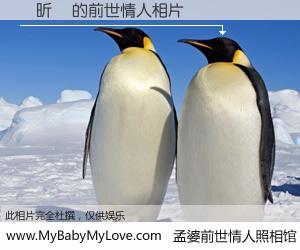 #孟婆前世情人照相馆# 【吳昕樺 的前世情人】前生，我们相亲相爱，相约下辈子还要在一起，你的誓言可别忘记。然而轮回路上的一碗孟婆汤，却将一切归零。茫茫人悔，谁是我的前世情人？吳昕樺 的前世情人，有图有真相：