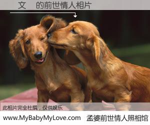 #孟婆前世情人照相馆# 【許文獻 的前世情人】前生，我们相亲相爱，相约下辈子还要在一起，你的誓言可别忘记。然而轮回路上的一碗孟婆汤，却将一切归零。茫茫人悔，谁是我的前世情人？許文獻 的前世情人，有图有真相：
