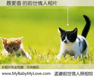 #孟婆前世情人照相馆# 【聂爱香 的前世情人】前生，我们相亲相爱，相约下辈子还要在一起，你的誓言可别忘记。然而轮回路上的一碗孟婆汤，却将一切归零。茫茫人悔，谁是我的前世情人？聂爱香 的前世情人，有图有真相：