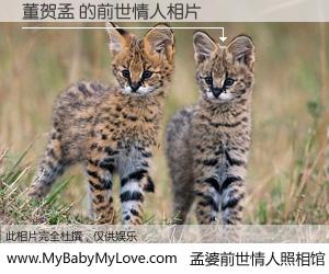 #孟婆前世情人照相馆# 【董贺孟 的前世情人】前生，我们相亲相爱，相约下辈子还要在一起，你的誓言可别忘记。然而轮回路上的一碗孟婆汤，却将一切归零。茫茫人悔，谁是我的前世情人？董贺孟 的前世情人，有图有真相：