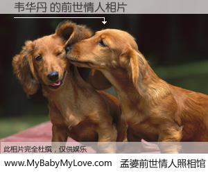 #孟婆前世情人照相馆# 【韦华丹 的前世情人】前生，我们相亲相爱，相约下辈子还要在一起，你的誓言可别忘记。然而轮回路上的一碗孟婆汤，却将一切归零。茫茫人悔，谁是我的前世情人？韦华丹 的前世情人，有图有真相：