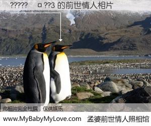 #孟婆前世情人照相馆# 【?????��??3 的前世情人】前生，我们相亲相爱，相约下辈子还要在一起，你的誓言可别忘记。然而轮回路上的一碗孟婆汤，却将一切归零。茫茫人悔，谁是我的前世情人？?????��??3 的前世情人，有图有真相：