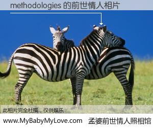 #孟婆前世情人照相馆# 【methodologies 的前世情人】前生，我们相亲相爱，相约下辈子还要在一起，你的誓言可别忘记。然而轮回路上的一碗孟婆汤，却将一切归零。茫茫人悔，谁是我的前世情人？methodologies 的前世情人，有图有真相：