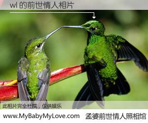 #孟婆前世情人照相馆# 【wl 的前世情人】前生，我们相亲相爱，相约下辈子还要在一起，你的誓言可别忘记。然而轮回路上的一碗孟婆汤，却将一切归零。茫茫人悔，谁是我的前世情人？wl 的前世情人，有图有真相：