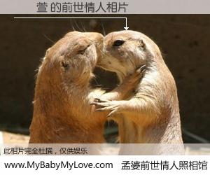 #孟婆前世情人照相馆# 【陳華萱 的前世情人】前生，我们相亲相爱，相约下辈子还要在一起，你的誓言可别忘记。然而轮回路上的一碗孟婆汤，却将一切归零。茫茫人悔，谁是我的前世情人？陳華萱 的前世情人，有图有真相：