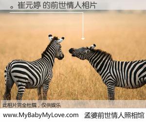 #孟婆前世情人照相馆# 【。崔元婷 的前世情人】前生，我们相亲相爱，相约下辈子还要在一起，你的誓言可别忘记。然而轮回路上的一碗孟婆汤，却将一切归零。茫茫人悔，谁是我的前世情人？。崔元婷 的前世情人，有图有真相：