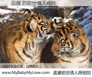 #孟婆前世情人照相馆# 【張品薇 的前世情人】前生，我们相亲相爱，相约下辈子还要在一起，你的誓言可别忘记。然而轮回路上的一碗孟婆汤，却将一切归零。茫茫人悔，谁是我的前世情人？張品薇 的前世情人，有图有真相：