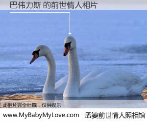 #孟婆前世情人照相馆# 【巴伟力斯 的前世情人】前生，我们相亲相爱，相约下辈子还要在一起，你的誓言可别忘记。然而轮回路上的一碗孟婆汤，却将一切归零。茫茫人悔，谁是我的前世情人？巴伟力斯 的前世情人，有图有真相：