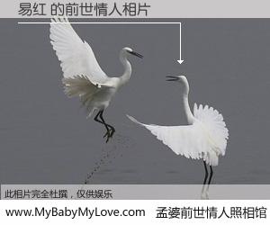 #孟婆前世情人照相馆# 【易红 的前世情人】前生，我们相亲相爱，相约下辈子还要在一起，你的誓言可别忘记。然而轮回路上的一碗孟婆汤，却将一切归零。茫茫人悔，谁是我的前世情人？易红 的前世情人，有图有真相：
