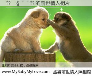 #孟婆前世情人照相馆# 【??����?? 的前世情人】前生，我们相亲相爱，相约下辈子还要在一起，你的誓言可别忘记。然而轮回路上的一碗孟婆汤，却将一切归零。茫茫人悔，谁是我的前世情人？??����?? 的前世情人，有图有真相：