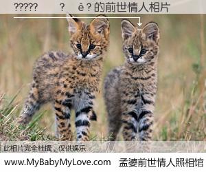 #孟婆前世情人照相馆# 【?????��?��? 的前世情人】前生，我们相亲相爱，相约下辈子还要在一起，你的誓言可别忘记。然而轮回路上的一碗孟婆汤，却将一切归零。茫茫人悔，谁是我的前世情人？?????��?��? 的前世情人，有图有真相：