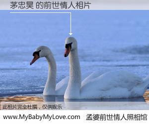#孟婆前世情人照相馆# 【茅忠昊 的前世情人】前生，我们相亲相爱，相约下辈子还要在一起，你的誓言可别忘记。然而轮回路上的一碗孟婆汤，却将一切归零。茫茫人悔，谁是我的前世情人？茅忠昊 的前世情人，有图有真相：
