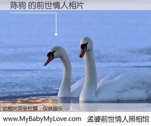 #孟婆前世情人照相馆# 【陈驹 的前世情人】前生，我们相亲相爱，相约下辈子还要在一起，你的誓言可别忘记。然而轮回路上的一碗孟婆汤，却将一切归零。茫茫人悔，谁是我的前世情人？陈驹 的前世情人，有图有真相：