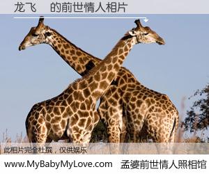 #孟婆前世情人照相馆# 【龙飞飏 的前世情人】前生，我们相亲相爱，相约下辈子还要在一起，你的誓言可别忘记。然而轮回路上的一碗孟婆汤，却将一切归零。茫茫人悔，谁是我的前世情人？龙飞飏 的前世情人，有图有真相：