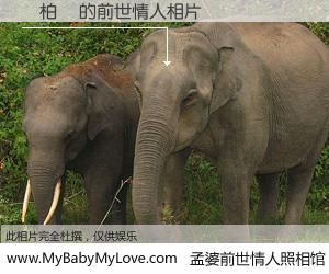 #孟婆前世情人照相馆# 【劉柏儀 的前世情人】前生，我们相亲相爱，相约下辈子还要在一起，你的誓言可别忘记。然而轮回路上的一碗孟婆汤，却将一切归零。茫茫人悔，谁是我的前世情人？劉柏儀 的前世情人，有图有真相：