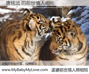 #孟婆前世情人照相馆# 【唐铭远 的前世情人】前生，我们相亲相爱，相约下辈子还要在一起，你的誓言可别忘记。然而轮回路上的一碗孟婆汤，却将一切归零。茫茫人悔，谁是我的前世情人？唐铭远 的前世情人，有图有真相：